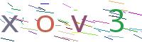 Verify Code