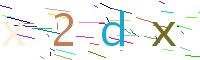 Verify Code