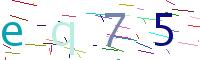Verify Code