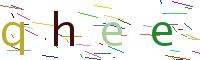 Verify Code